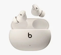 Beats audio buds pic